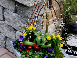 Foto 125889 im Album