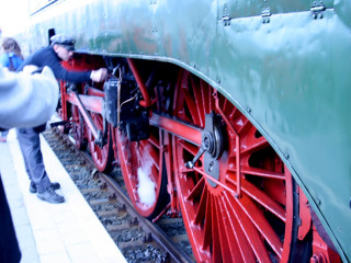Foto 127411 im Album