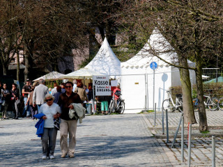 Foto 128075 im Album