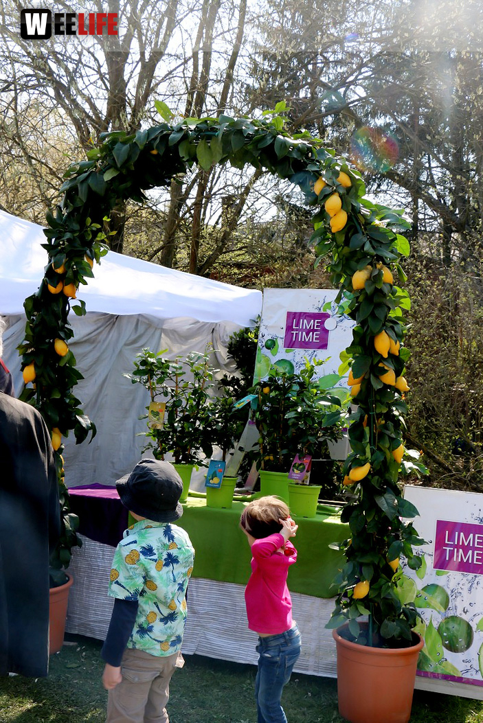 Messe LebensArt Schönes für Haus und Garten