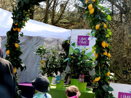 Messe LebensArt Schönes für Haus und Garten – Foto 39