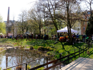 Foto 128120 im Album