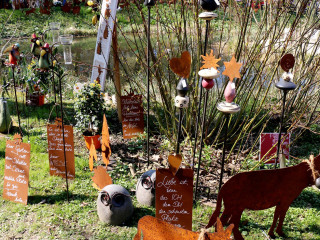 Foto 128124 im Album
