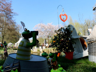 Foto 128131 im Album