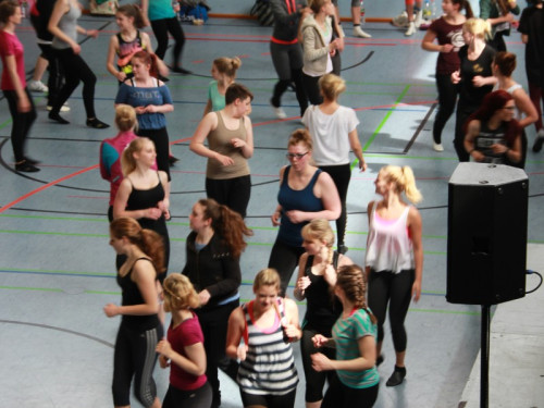 HOFER TANZ TAGE 2015 100Kurse – Foto 15