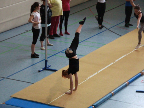 HOFER TANZ TAGE 2015 100Kurse – Foto 16