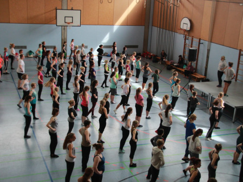 HOFER TANZ TAGE 2015 100Kurse – Foto 29