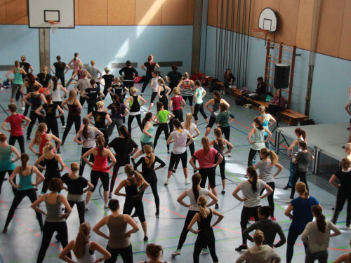 HOFER TANZ TAGE 2015 100Kurse – Foto 32