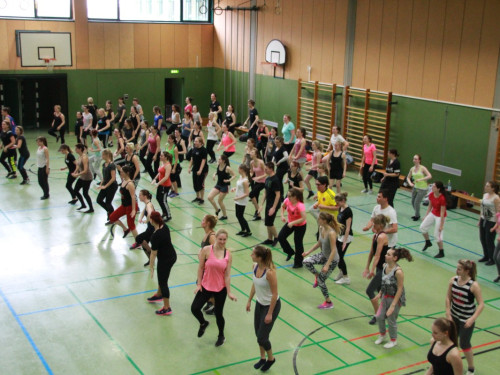 HOFER TANZ TAGE 2015 100Kurse – Foto 37