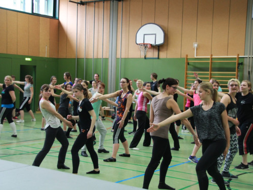 HOFER TANZ TAGE 2015 100Kurse – Foto 46