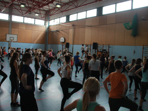HOFER TANZ TAGE 2015 100Kurse – Foto 55