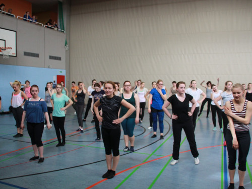 HOFER TANZ TAGE 2015 100Kurse – Foto 61