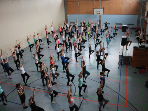 HOFER TANZ TAGE 2015 100Kurse – Foto 82