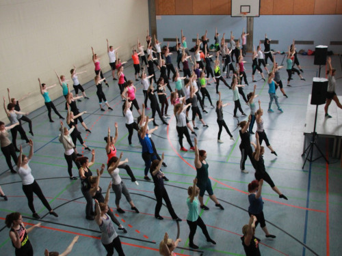 HOFER TANZ TAGE 2015 100Kurse – Foto 83