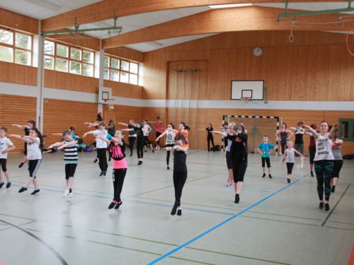 HOFER TANZ TAGE 2015 100Kurse – Foto 90