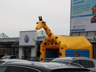 Foto 128704 im Album