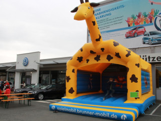 Foto 128705 im Album