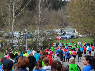 Foto 128843 im Album