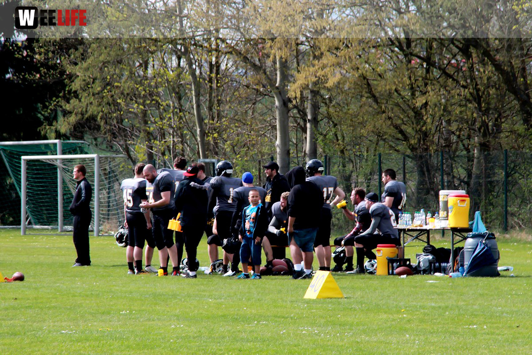 Amerikan Football Hof Jokers Bamberg Bears