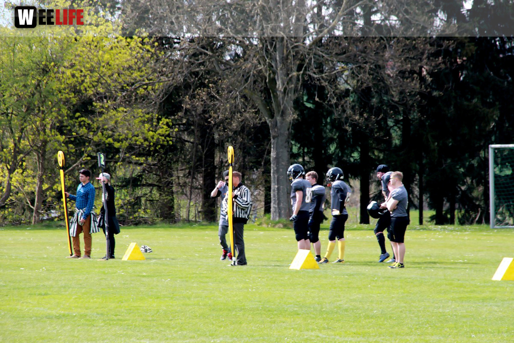 Amerikan Football Hof Jokers Bamberg Bears