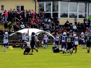 Foto 129474 im Album