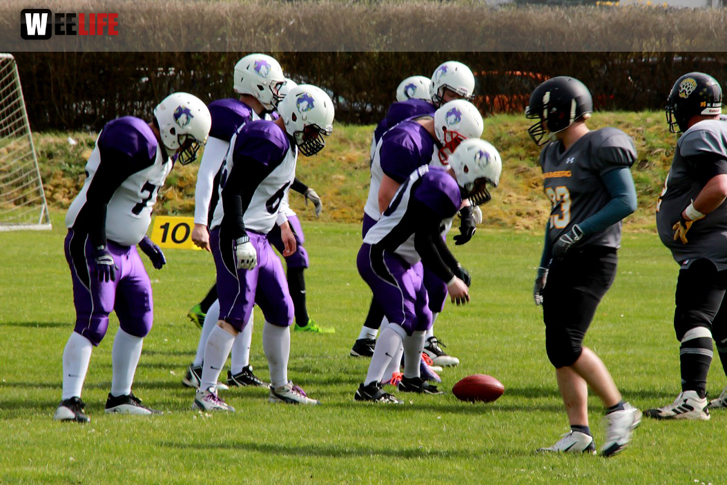 Amerikan Football Hof Jokers Bamberg Bears