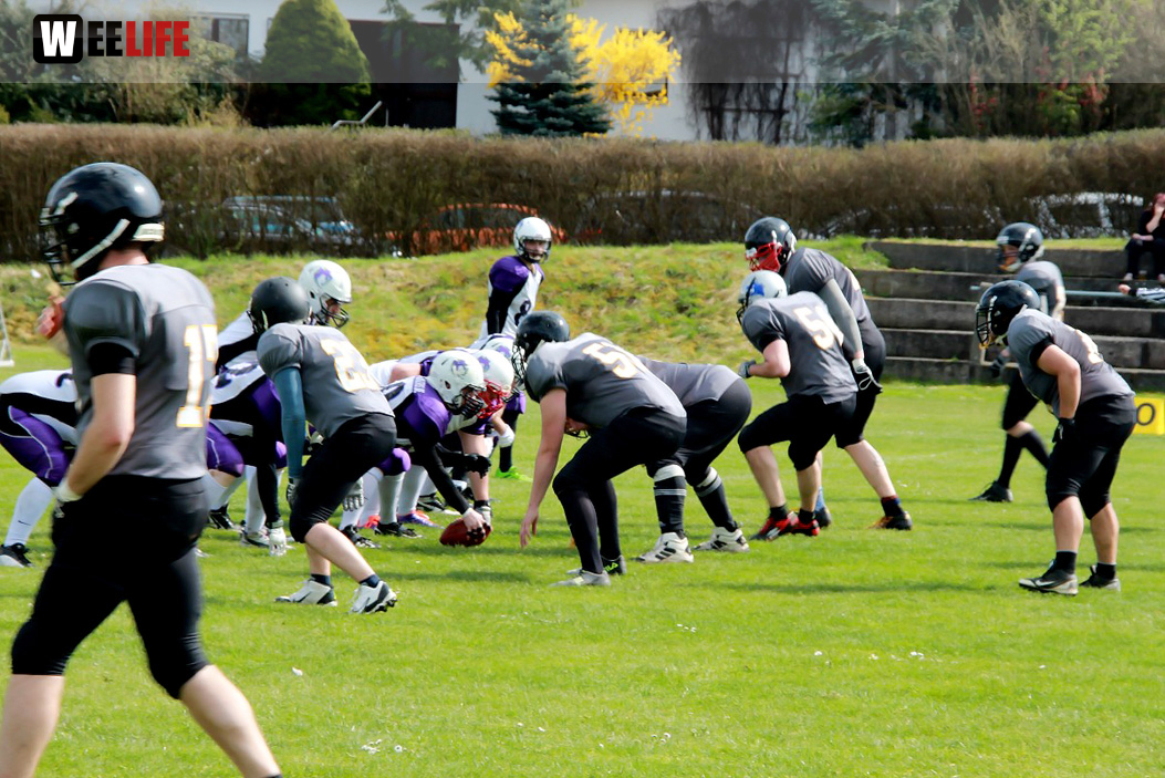 Amerikan Football Hof Jokers Bamberg Bears
