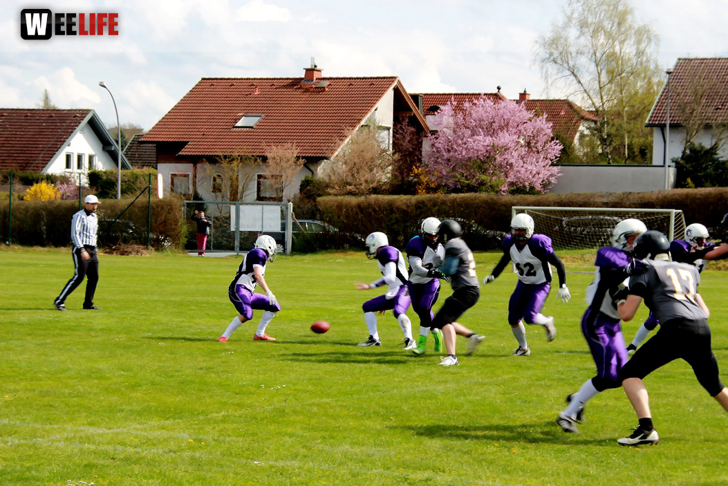 Amerikan Football Hof Jokers Bamberg Bears