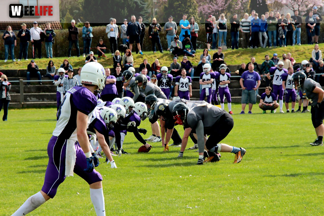 Amerikan Football Hof Jokers Bamberg Bears