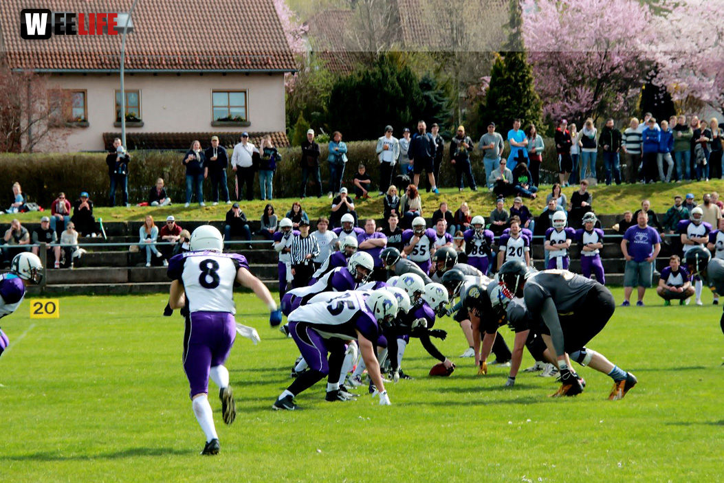 Amerikan Football Hof Jokers Bamberg Bears