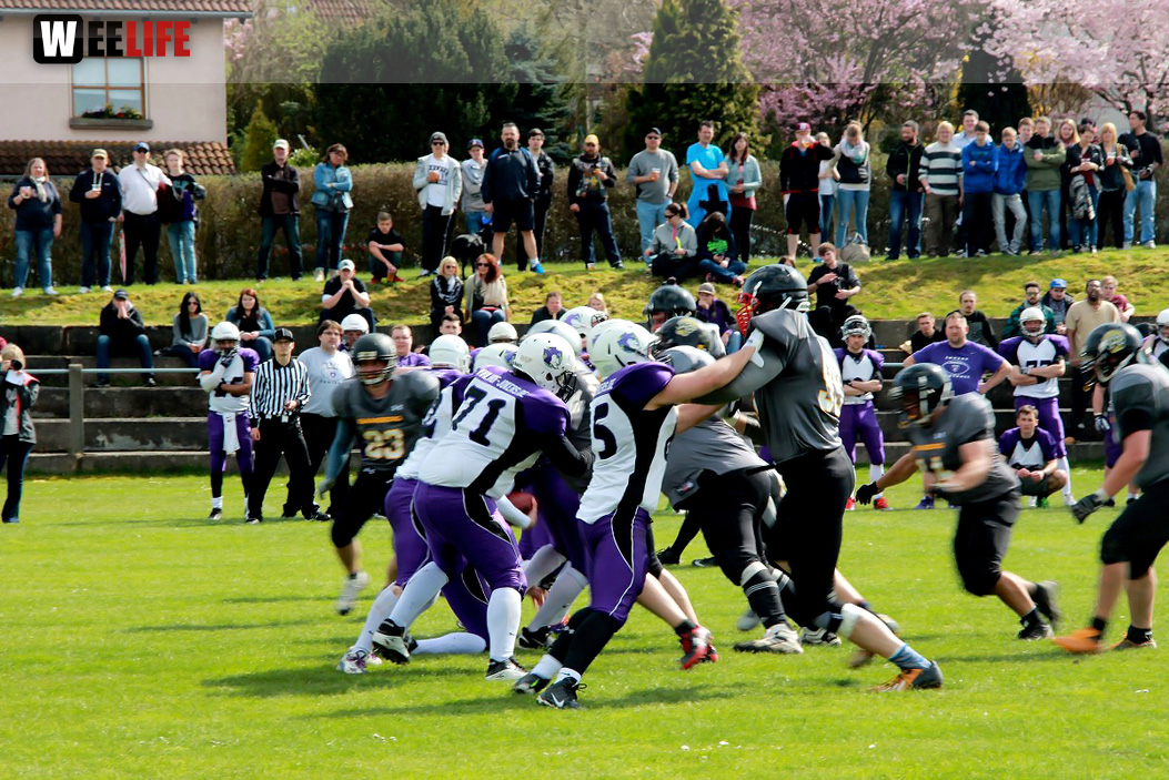 Amerikan Football Hof Jokers Bamberg Bears