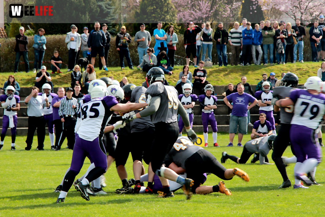 Amerikan Football Hof Jokers Bamberg Bears
