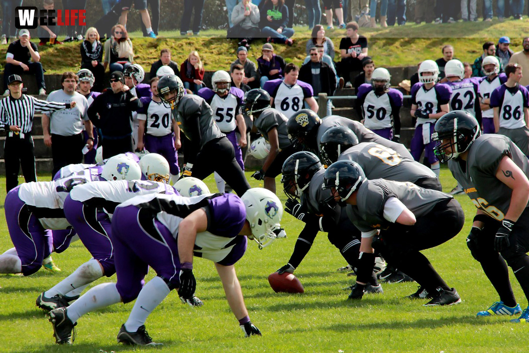 Amerikan Football Hof Jokers Bamberg Bears
