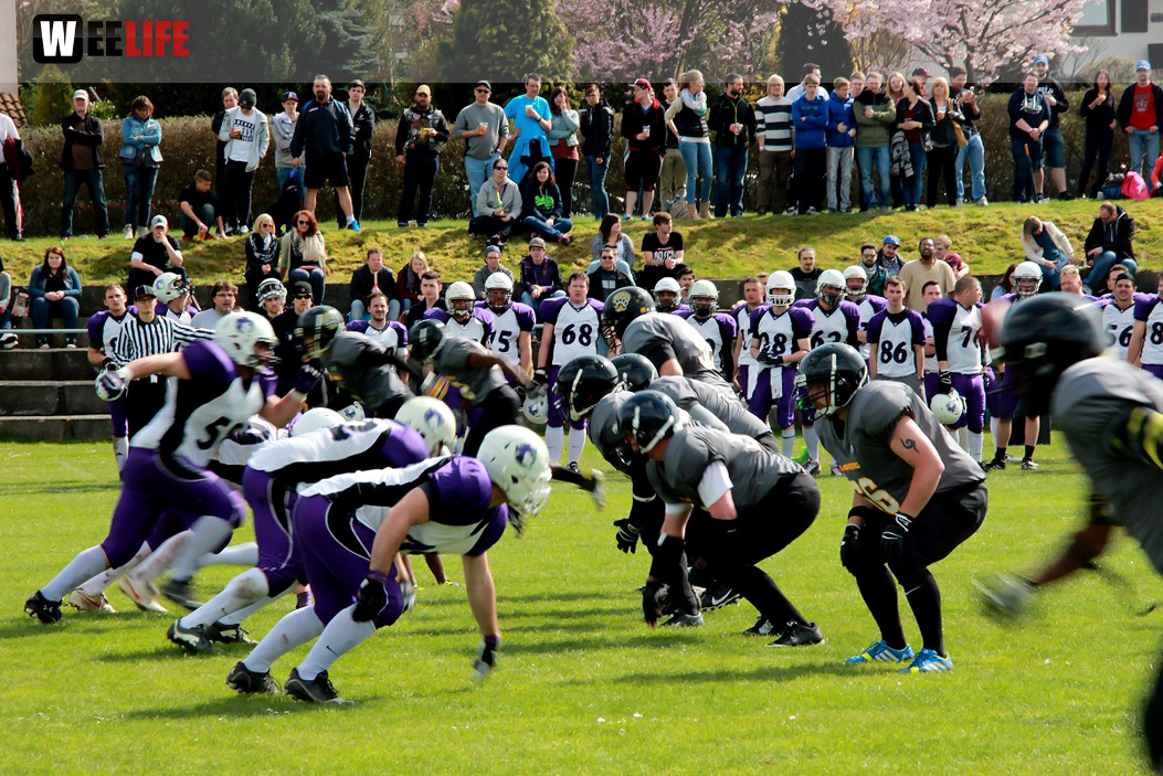 Amerikan Football Hof Jokers Bamberg Bears