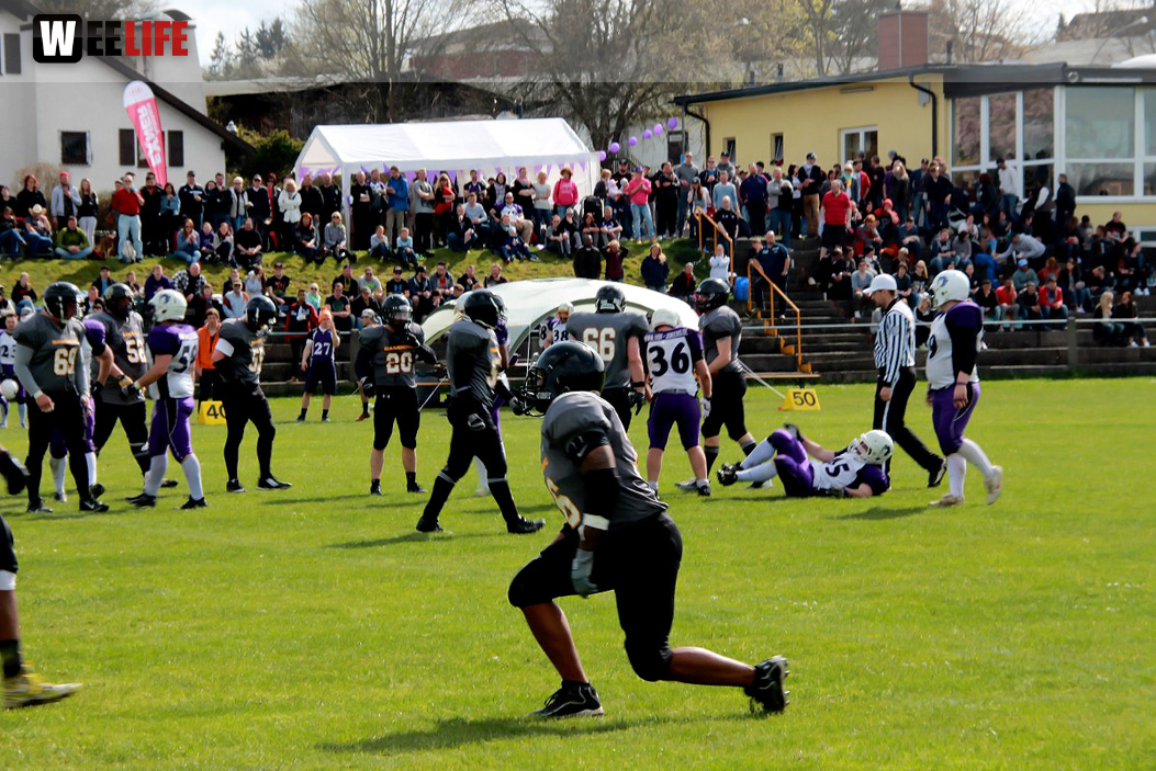 Amerikan Football Hof Jokers Bamberg Bears