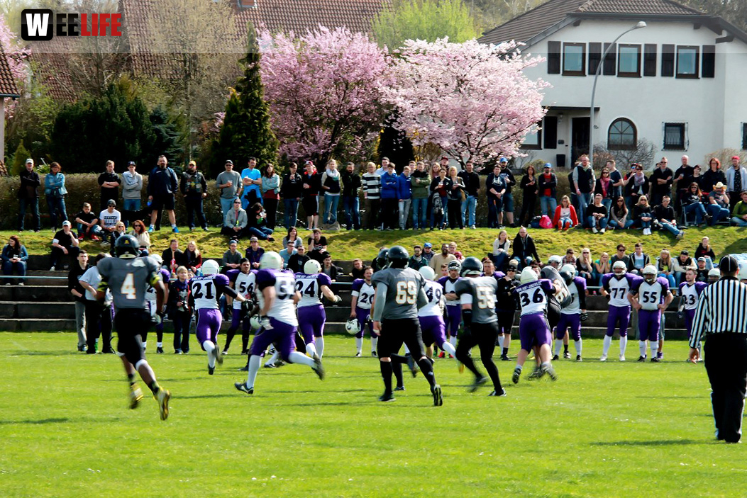 Amerikan Football Hof Jokers Bamberg Bears
