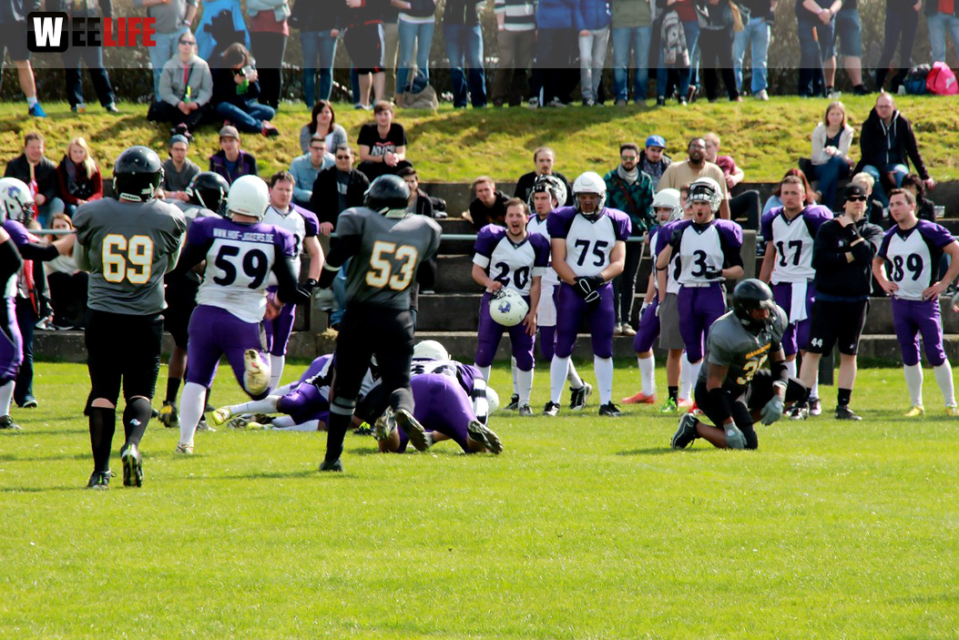 Amerikan Football Hof Jokers Bamberg Bears