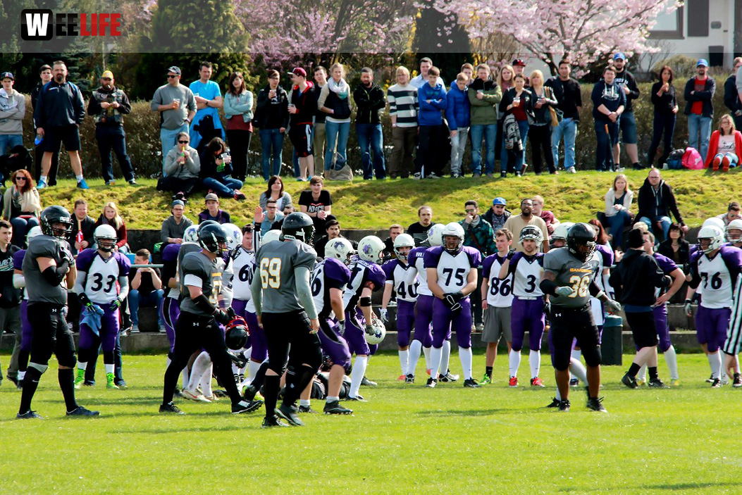 Amerikan Football Hof Jokers Bamberg Bears