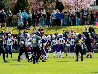 Foto 129509 im Album