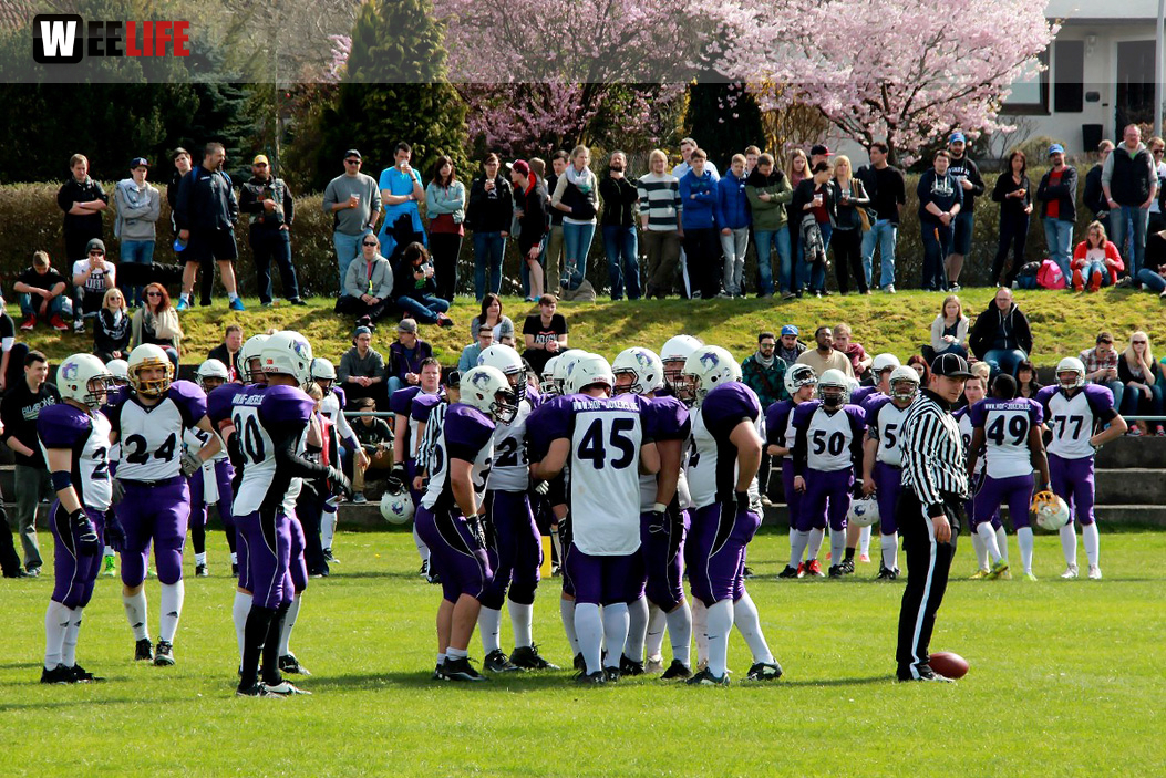 Amerikan Football Hof Jokers Bamberg Bears