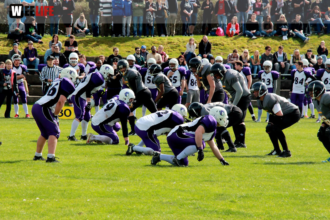 Amerikan Football Hof Jokers Bamberg Bears