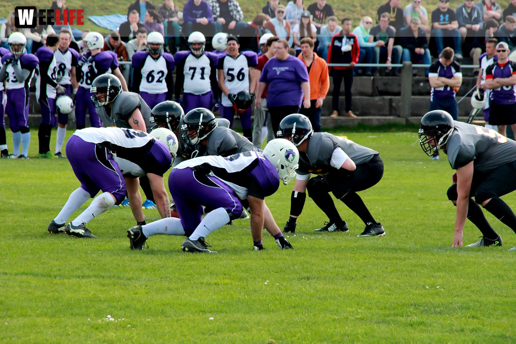 Amerikan Football Hof Jokers Bamberg Bears
