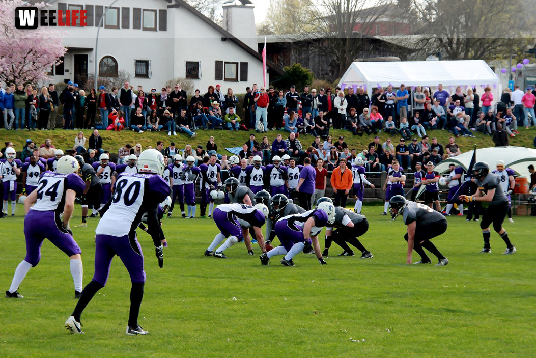 Amerikan Football Hof Jokers Bamberg Bears