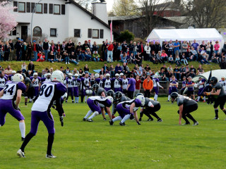 Foto 129515 im Album
