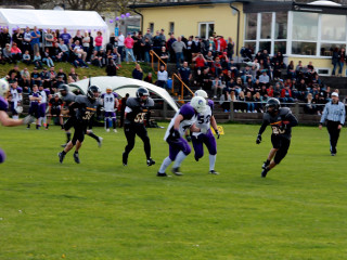 Foto 129516 im Album