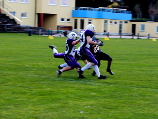 Foto 129517 im Album
