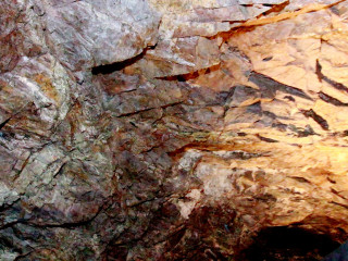 Foto 130259 im Album