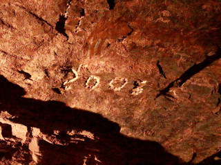 Foto 130269 im Album