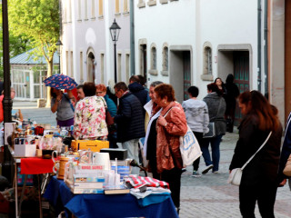 Foto 131157 im Album