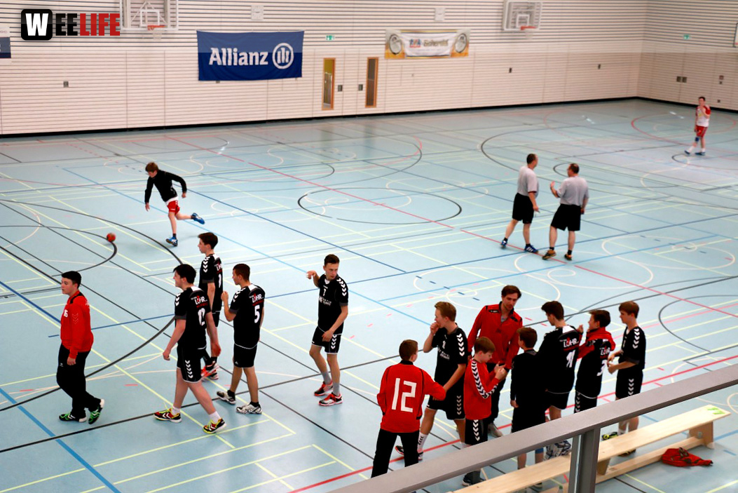 Handball Landesliga-Quali